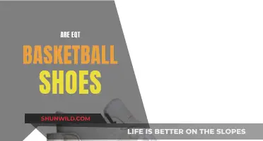 EQT Basketball Shoes: Comfort and Style on the Court