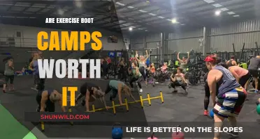 Are Exercise Boot Camps Worth the Sweat and Investment?