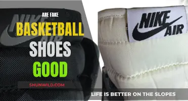 Fake Basketball Shoes: Worth the Hype?