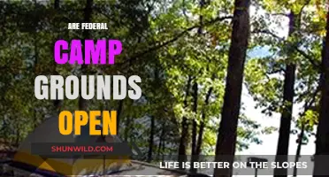 Are Federal Campgrounds Open? Current Status and Updates for Campers
