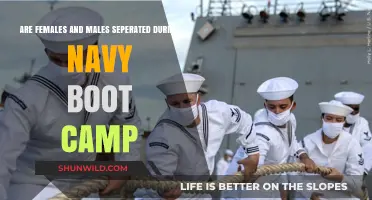 Navy Boot Camp: Are Females and Males Separated During Training?