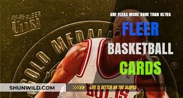 Fleas vs Ultra Fleer: Which is Rarer?