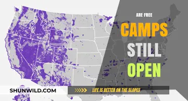 Are Free Camps Still Open? Exploring Current Availability and Options