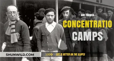 Unveiling France's Dark History: The Truth About French Concentration Camps