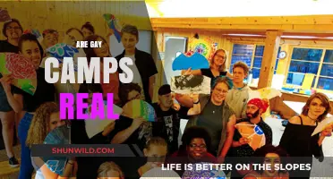 Unveiling the Truth: Are Gay Conversion Camps Still Operating?