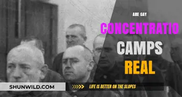 Unveiling the Truth: Are Gay Concentration Camps a Reality?