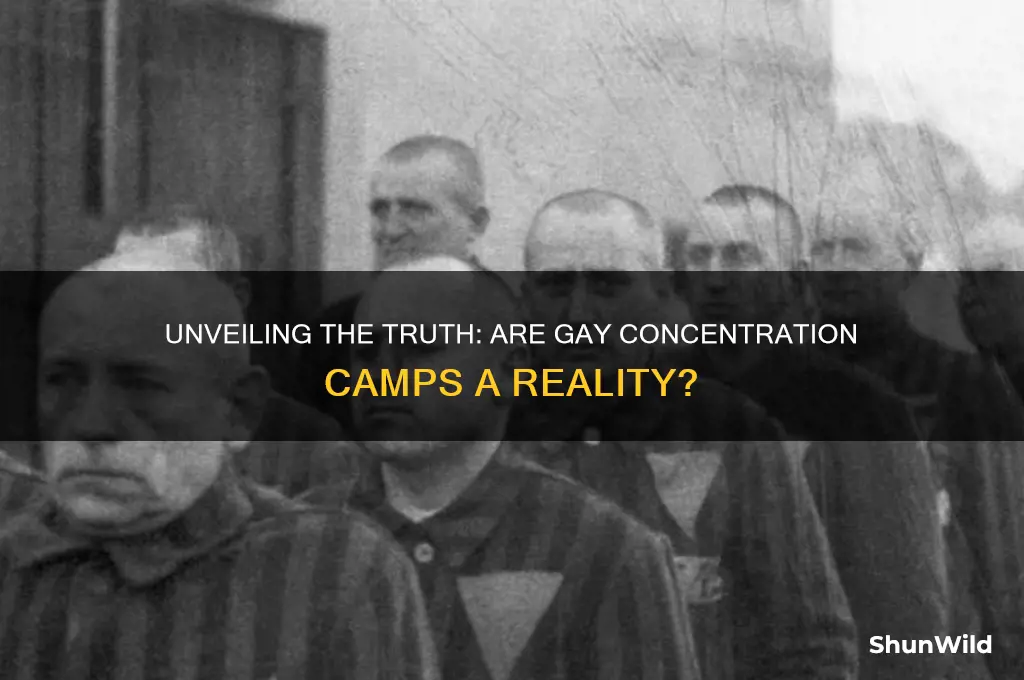 are gay concentration camps real