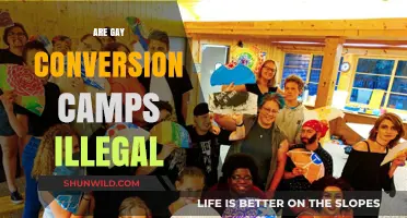 Are Gay Conversion Camps Illegal? Exploring the Legal Landscape