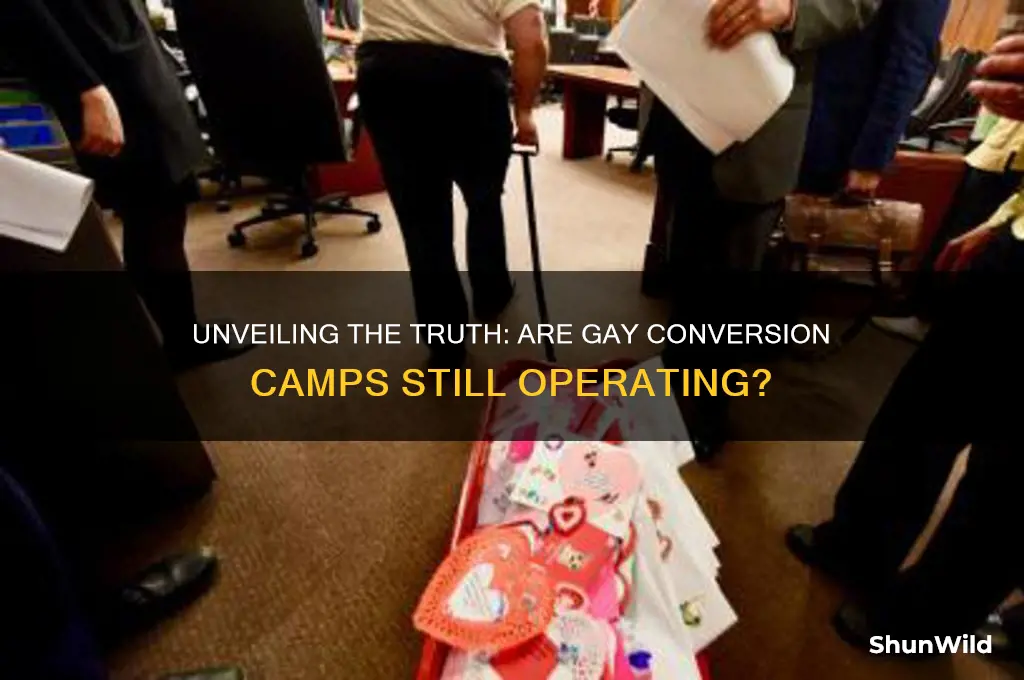 are gay conversion camps real