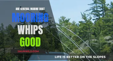 Marine Boat Mooring Whips: Are They Worth the Investment?