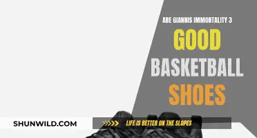 Giannis Immortality 3: A Step Towards Basketball Greatness