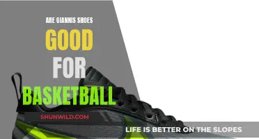 Giannis' Shoes: Good for Basketball?