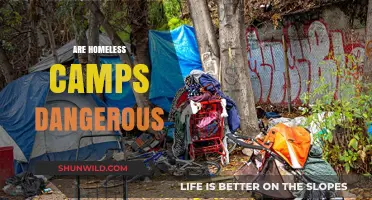 Are Homeless Camps Dangerous? Uncovering the Truth and Misconceptions