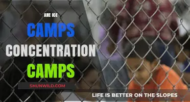 Are ICE Detention Centers Modern-Day Concentration Camps? A Critical Analysis