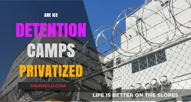 Privatized Prisons: The Truth About ICE Detention Camps