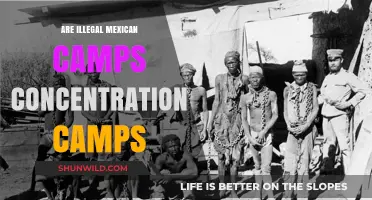 Are Illegal Mexican Camps Modern-Day Concentration Camps? A Critical Analysis