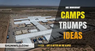 Are Immigrant Detention Camps a Legacy of Trump's Policies?
