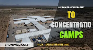 Immigrants in Detention: Are Modern Facilities Becoming Concentration Camps?