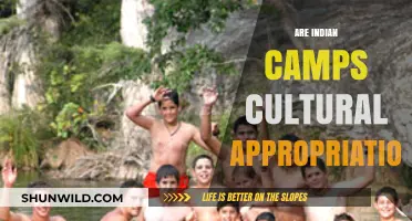 Are Indian Camps Cultural Appropriation or Cultural Exchange?