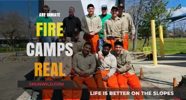 Are Inmate Fire Camps Real? Uncovering the Truth Behind Prison Labor
