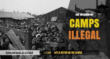 Are Internment Camps Illegal? Exploring the Legal and Ethical Implications