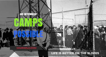 Could Internment Camps Happen Again? Exploring Historical and Modern Risks