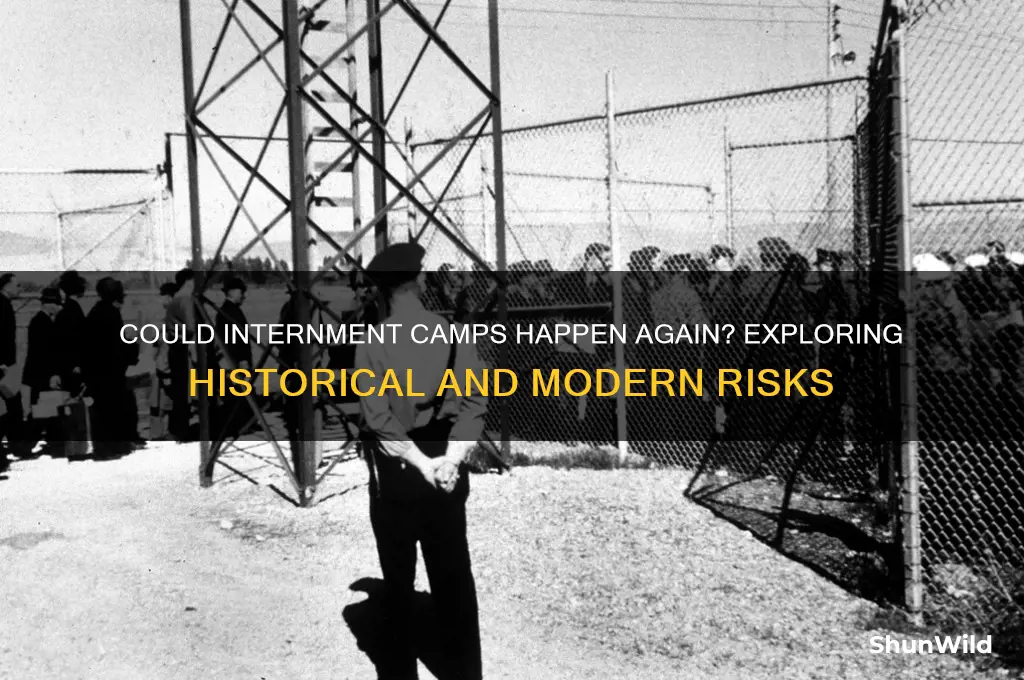 are internment camps possible