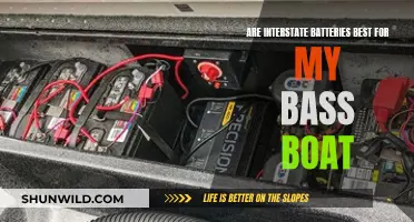 Bass Boat Battery Power: Interstate Options Best?