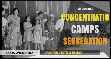 Japanese Concentration Camps: Segregation, Injustice, and Historical Reflection