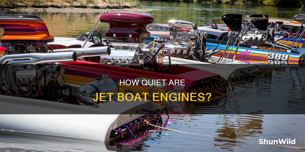 are jet boat engines quieter