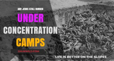 Are Jews Still Buried Under Concentration Camps? Uncovering the Truth
