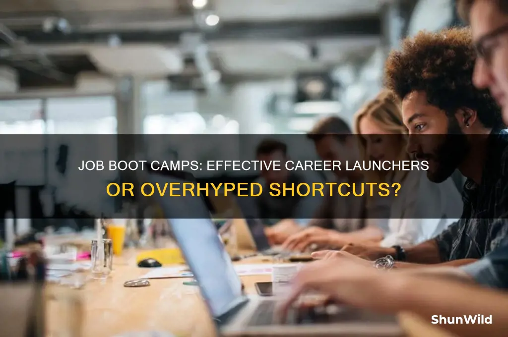 are job boot camps effective