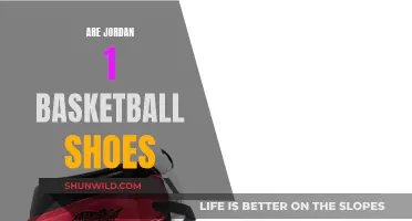 Jordan 1s: Basketball Shoes or Cultural Icon?