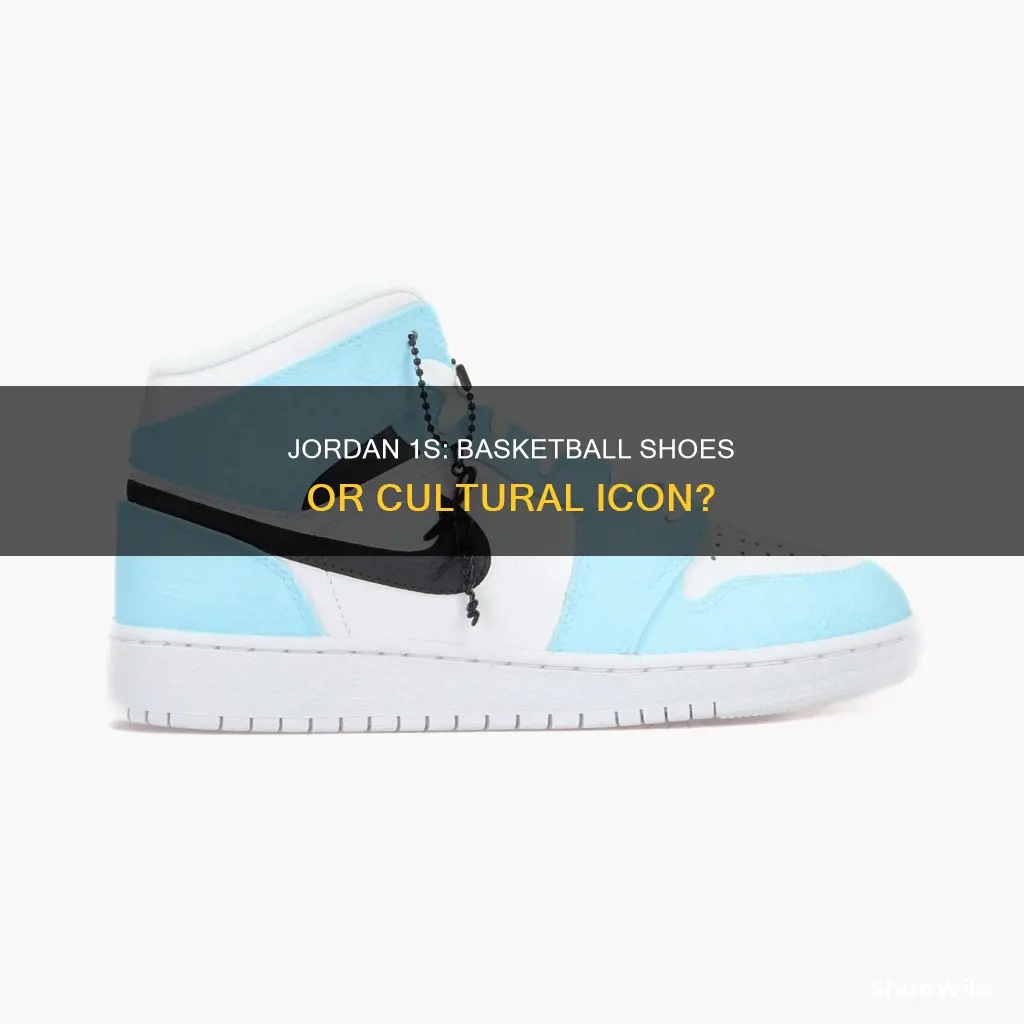 are jordan 1 basketball shoes