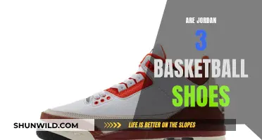 Jordan 3 Basketball Shoes: A Court Classic