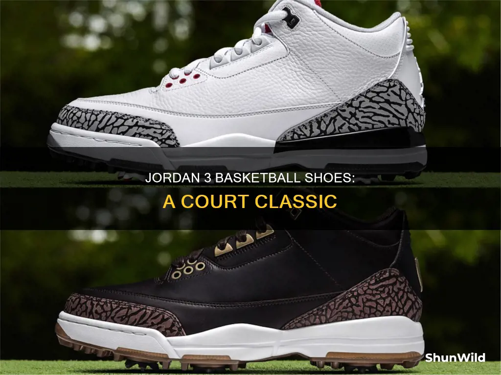 are jordan 3 basketball shoes