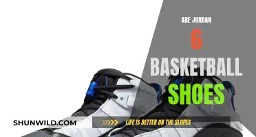 Jordan 6: The Ultimate Basketball Shoe?