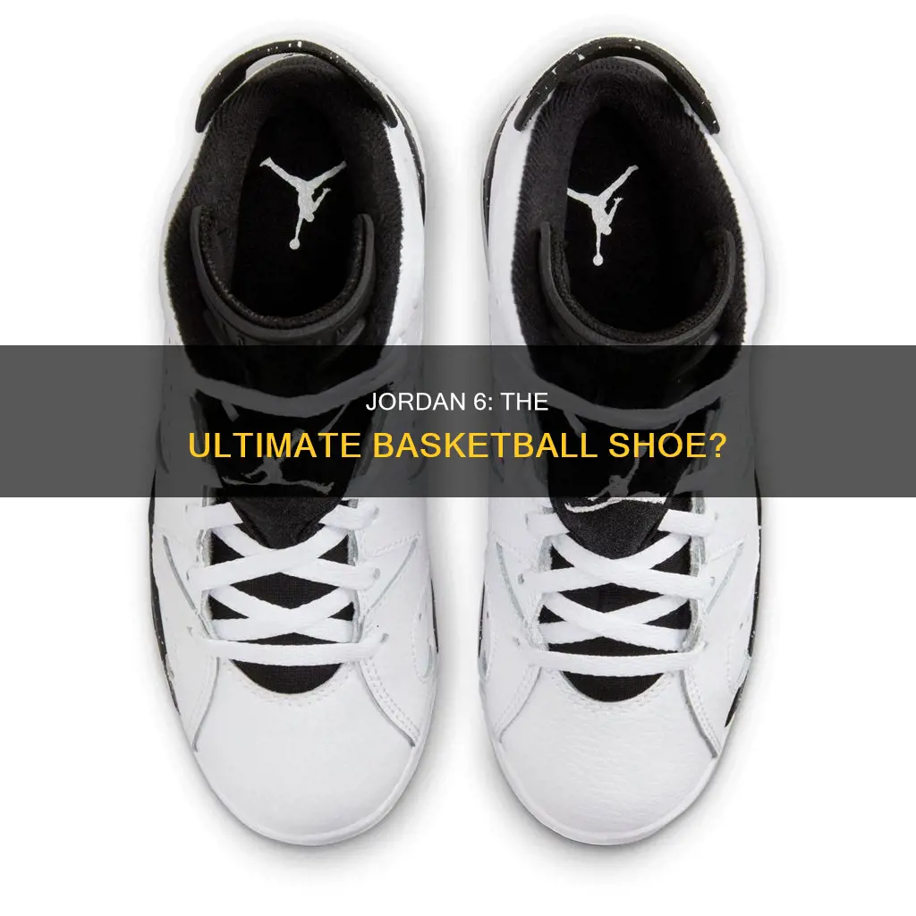 are jordan 6 basketball shoes