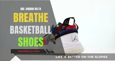 Jordan Delta Breathe: Basketball Shoe Comfort?