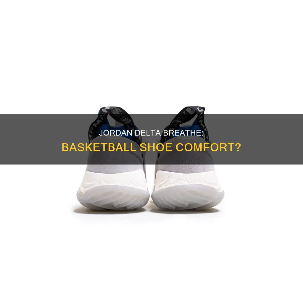 are jordan delta breathe basketball shoes
