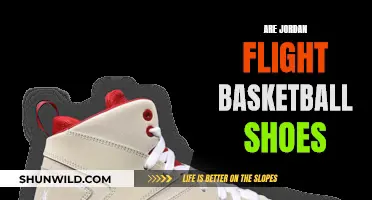 Jordan Flight Basketball Shoes: Are They Worth the Hype?