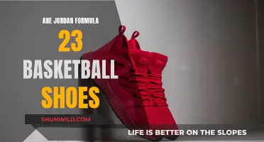 Jordan Formula 23: A Basketball Shoe Legend