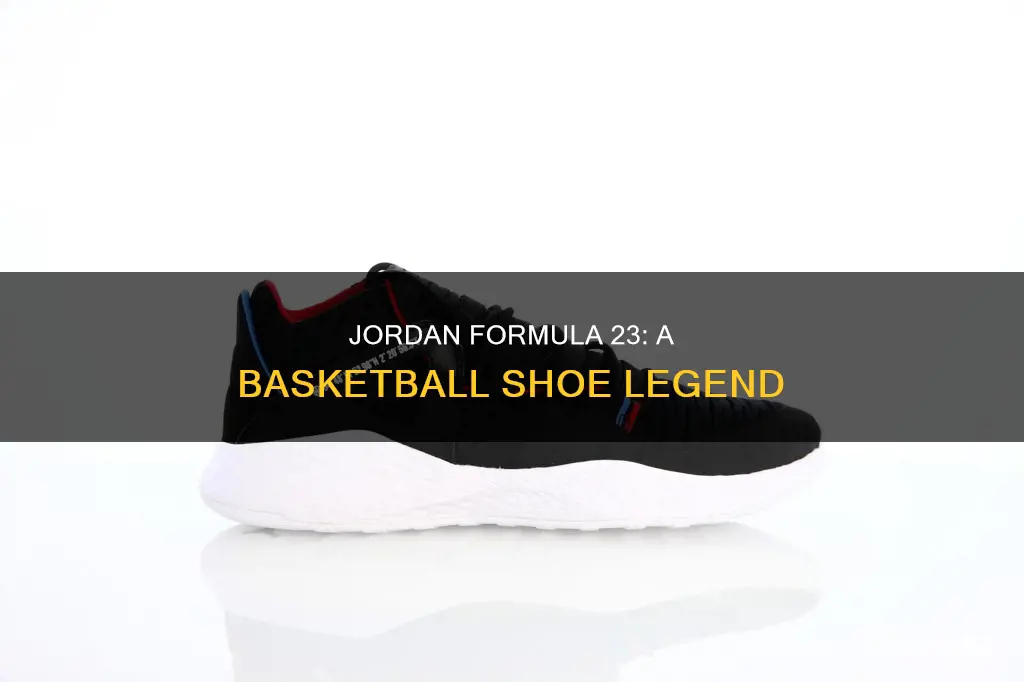 are jordan formula 23 basketball shoes
