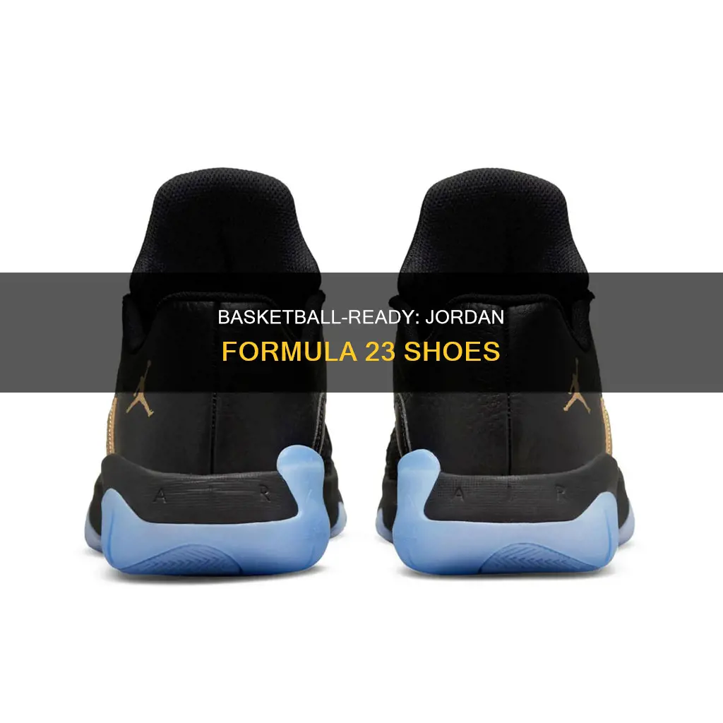 are jordan formula 23 made for basketball
