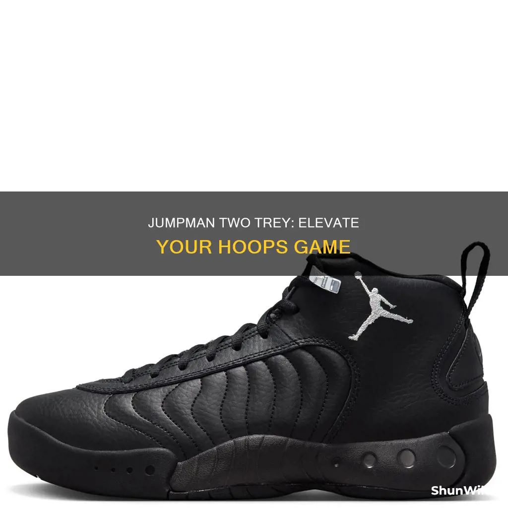 are jordan jumpman two trey basketball shoes
