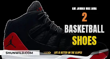 Jordan Max Aura 2: Basketball Shoes for Champions