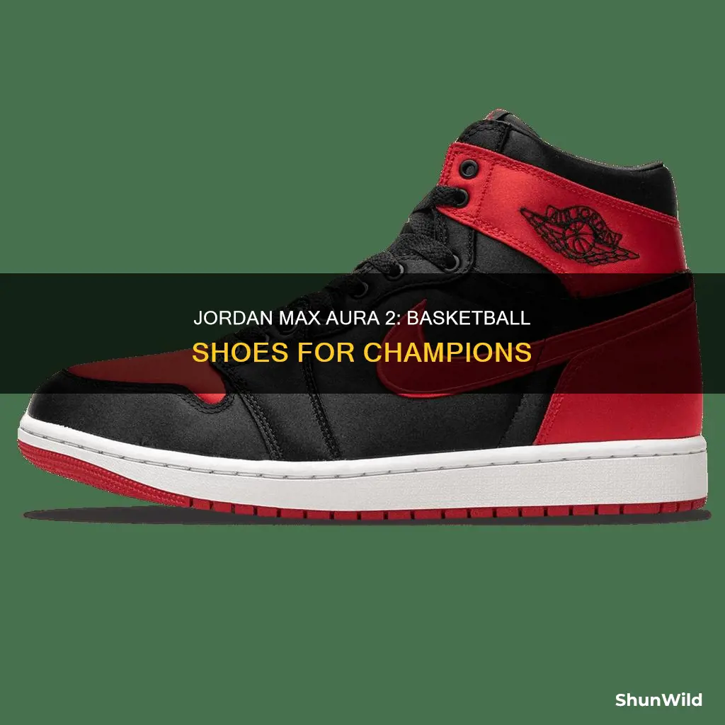 are jordan max aura 2 basketball shoes