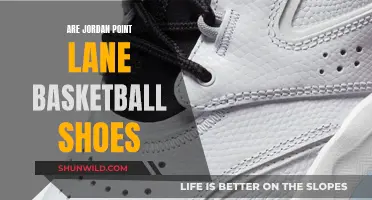 Jordan Point Lane Basketball Shoes: A Comfortable Court Classic