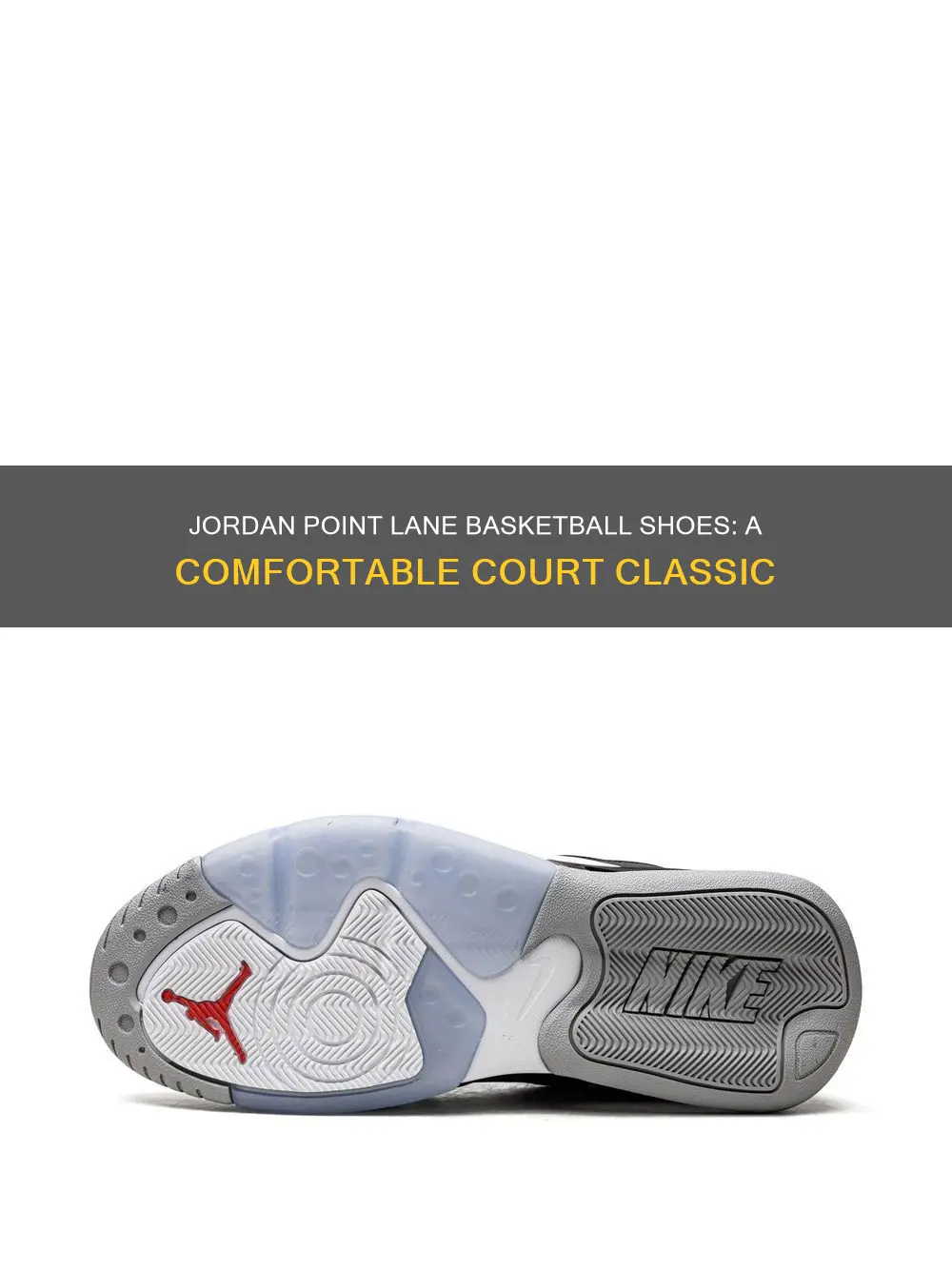 are jordan point lane basketball shoes