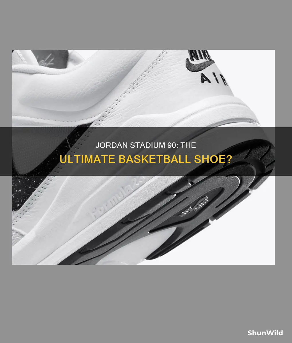 are jordan stadium 90 basketball shoes